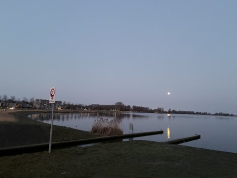 Foto van de dag