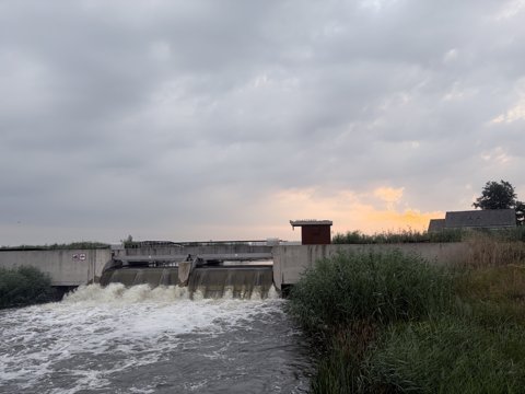 Foto van de dag