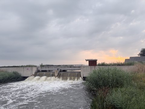 Foto van de dag
