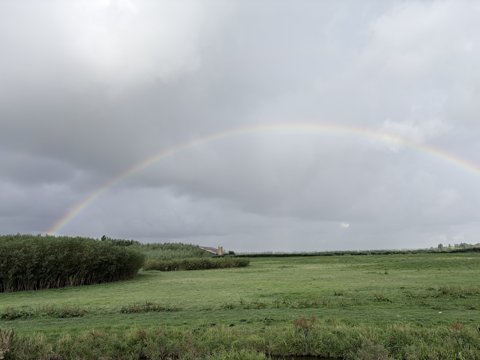 Foto van de dag