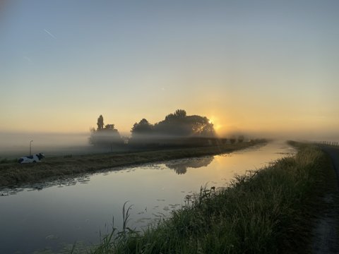 Foto van de dag