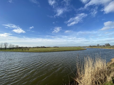 Foto van de dag