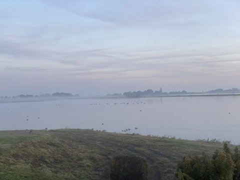 Foto van de dag