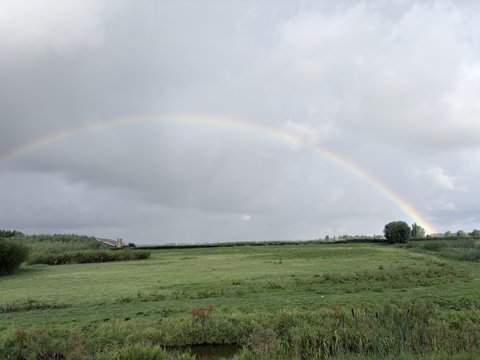 Foto van de dag