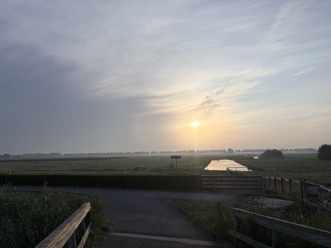 Foto van de dag