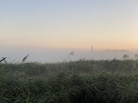 Foto van de dag