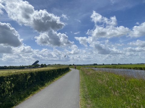 Foto van de dag