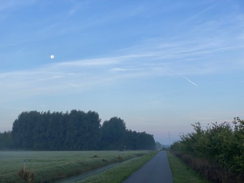 Foto van de dag