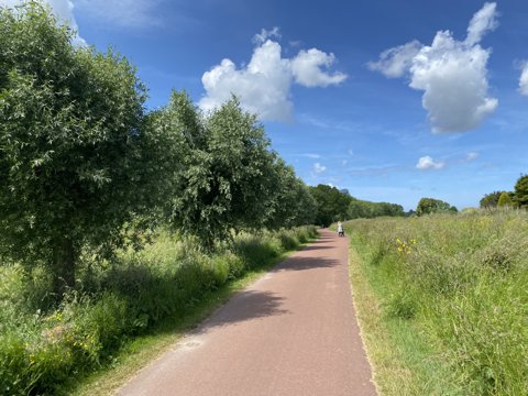 Foto van de dag