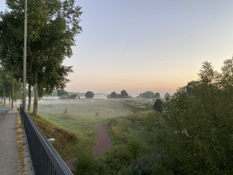 Foto van de dag