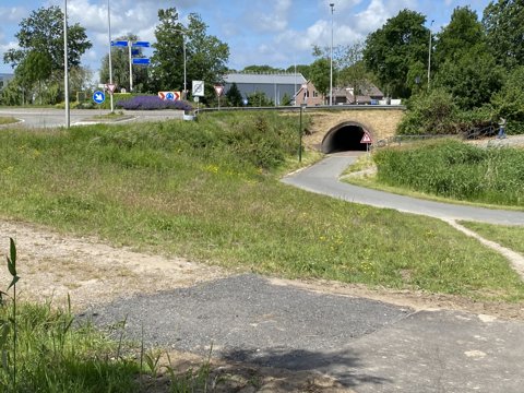 Foto van de dag