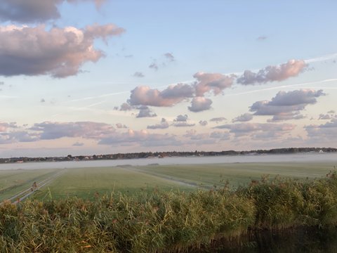 Foto van de dag
