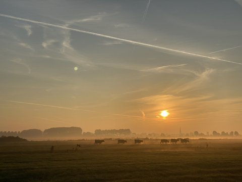 Foto van de dag