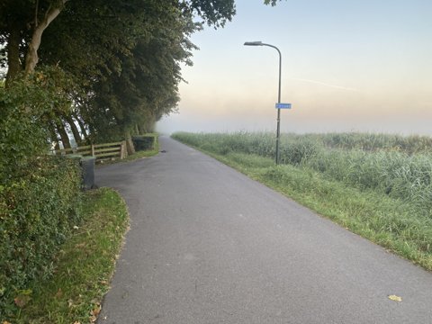 Foto van de dag