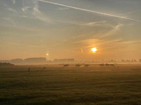 Foto van de dag