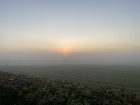 Foto van de dag