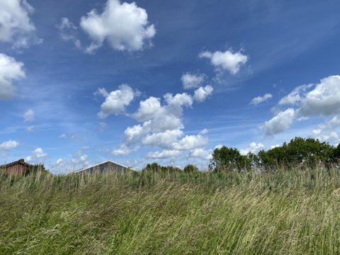 Foto van de dag