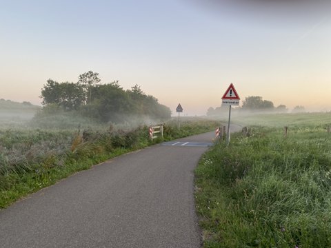 Foto van de dag