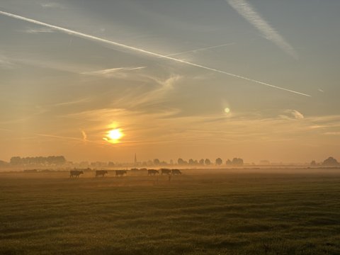 Foto van de dag